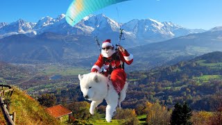 Rescued Dog Goes Paragliding With His OwnerAnd Loves It  Animal Rescue [upl. by Eliathan]