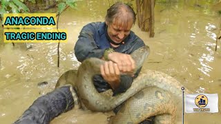 documentary Do not do this  Monster Snakes  Amazon 4k  part 4 [upl. by Aikemaj]