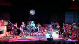 Cats  The Jellicle Ball [upl. by Tersina]