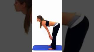 Toning Lower Back Workout I Best Lower Back Exercise at Home [upl. by Artimed]