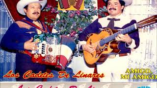 LOS CADETES DE LINARES CORRIDO DE ROGELIO GARZA [upl. by Ib869]