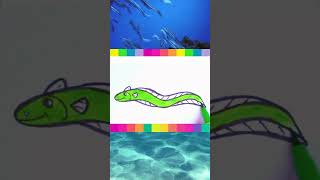 eel drawing easy  eel drawing for kids drawing shorts art drawseaanimals eel sskidstube [upl. by Nac333]