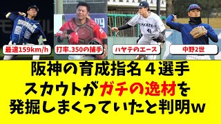 阪神の育成指名4選手が今年も、逸材揃いで楽しみすぎる件ｗ [upl. by Damha660]