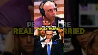 Rogan on Mark Zuckerberg Speaking Mandarin in China [upl. by Sallee454]