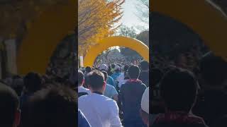 19 th Hadano Tanzawa Minase Marathon  第19回秦野丹沢水無川マラソン [upl. by Esela481]