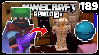 LP189 COLLECTING MORE RARE ITEMS IN MINECRAFT NEW CHAINMAIL ARMOR [upl. by Leta88]