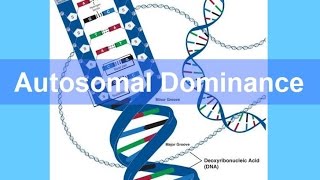 Autosomal Dominance Inheritance updated [upl. by Rialb652]