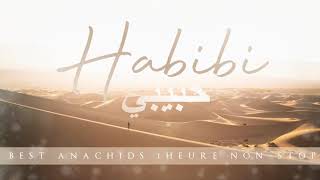 HABIBI  BEST ANACHIDS MUSLIM 100 DOUF  1 H NONSTOP [upl. by Thisbee]