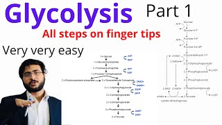 Glycolysis pathway  Carbohydrate Metabolism  Easy way  Steps of glycolysis  Part 1 [upl. by Hedva396]