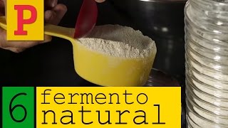 Como fazer fermento natural  Vídeo 6 [upl. by Eniowtna]