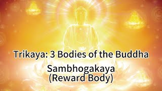 Trikaya  3 Bodies of the Buddha 2  Sambhogakaya Reward Body [upl. by Htidirem772]