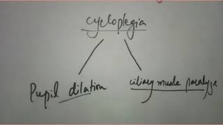 cycloplegic refraction procedure [upl. by Nahrut]