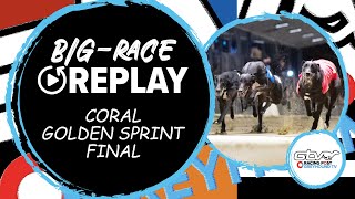 2023 Coral Golden Sprint Final  Droopys Good  Greyhound Race Replays  2023 Big Finals [upl. by Zela]