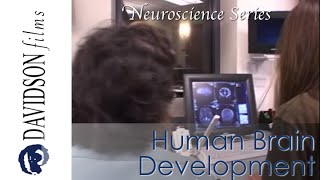 Human Brain Development Nature and Nurture a preview Davidson Films [upl. by Aicat]