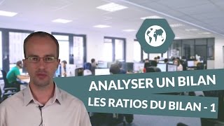 Analyser un bilan  les outils danalyse les ratios du bilan part I  BTS Ci [upl. by Nnairda]