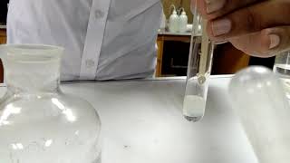 Chloride Test Halide test in qualitative salt analysis [upl. by Klein]