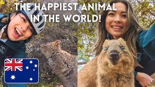 The BEST day on Rottnest Island Biking and Quokka selfies [upl. by Arol]