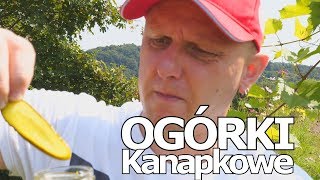 Ogórki kanapkowe  Dom Pachnący Żywicą [upl. by Eelreveb]