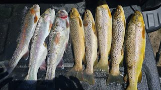 Minnesota Trout Fishing Whitewater Stream  Epic Action With Fly Rod [upl. by Primrosa]