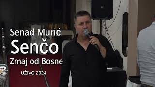 Zmaj od Bosne  UŽIVO 2024  SENČO MURIĆ [upl. by Sherourd]