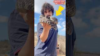 STANDING W RATTLESNAKES 🫡 shortsfeed wildlife snake animals rattlesnake [upl. by Gass]