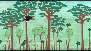 Deforestation Animation [upl. by Nelra]