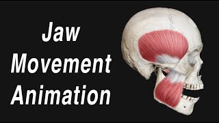 Anatomy of Jaw Motion  TMJ Articular Disc and Muscles [upl. by Lampert]