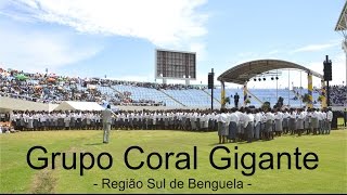 CORAL GIGANTE REGIONAL SUL DE BENGUELA [upl. by Bevers]