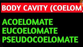 COELOM  BODY CAVITY [upl. by Oidualc]