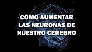 Cómo Aumentar La Producción De Neuronas De Nuestro Cerebro [upl. by Palgrave]