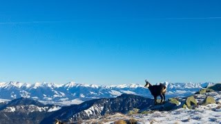 Low Tatras  Winter Paradise [upl. by Aidil]