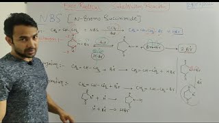 N BromoSuccinimide NBS in organic chemistry Free radical substitution mechanism [upl. by Niuqaoj584]