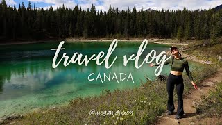 TRAVEL VLOG 10  CANADA Exploring the ICEFIELDS PARKWAY amp Jasper travel canada travelvlog [upl. by Krystal128]