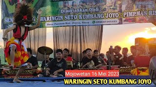 WARINGIN SETO KUMBANG JOYO Aksi Bujang Ganong Kembar Live MojowetanBarongan Blora [upl. by Elam]