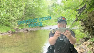 Fishing One of the BEST TROUT STREAMS in Virginia [upl. by Zenda]