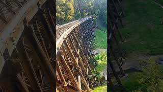 Noojee Trestle Bridge australia australiatravel life melbourne bridge melbournevibes nature [upl. by Danforth]