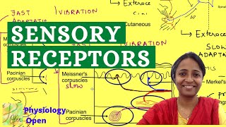 Classification of Sensory receptors  Sensory Physiology mbbs 1st year lecture  CNS physiology [upl. by Rahm]