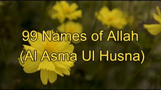 99 Names of Allah Al Asma Ul Husna I Meaning and Explanation I AsmaulHusna quran allahname [upl. by Odell]