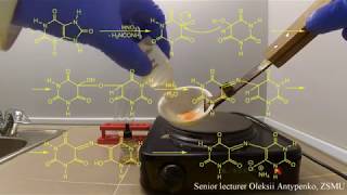 The identification of the uric acid The murexide test [upl. by Cosme]