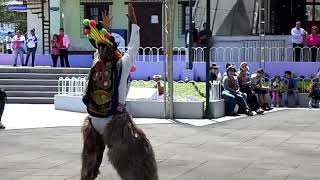 Danza tipica en la mitad del mundo quotEl Diablo Humaquot [upl. by Gabrielle490]