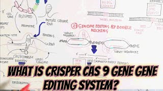 What is CRISPER CAS9Gene Editing System umerfarooqbiology7083 [upl. by Siurtemed]