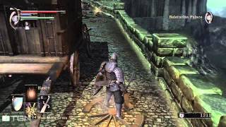 Demons Souls 8 Boletarian Palace Patrolling Red Dragon [upl. by Nart]