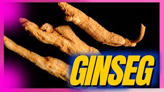 Ginseng o que é para que serve tipos e como usar [upl. by Ehrsam706]