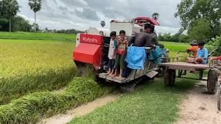 Start Project Farm Harvester By Machine Kubota DC70 Pro Farmer Life [upl. by Nisse563]