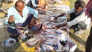 fish market  fishing  Fish market in nepal  nepali village life  best Village Life [upl. by Haroved]