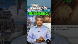 బియ్యం స్మగ్లింగ్ చిటికెలో ఆపొచ్చు  Nalamotu Chakravarthy [upl. by Eitak]