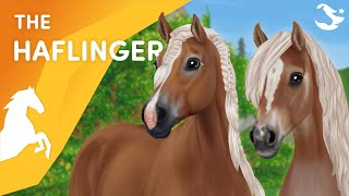 The UPDATED Haflinger😍🤩  Star Stable Horses [upl. by Benedix]