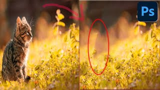 Remove object👍 in Photoshop  Photoshop remove objects grapics [upl. by Rebeh711]