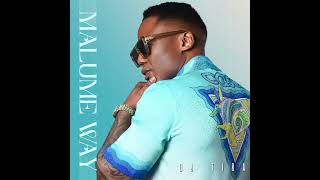 Dj Tira amp Xowla Feat Lwah Ndlunkulu  Cela Skhulume Official Audio [upl. by Jarus692]