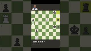 Beating William Kai bot with just 2 Rooks chess checkmateshorts [upl. by Sackey830]